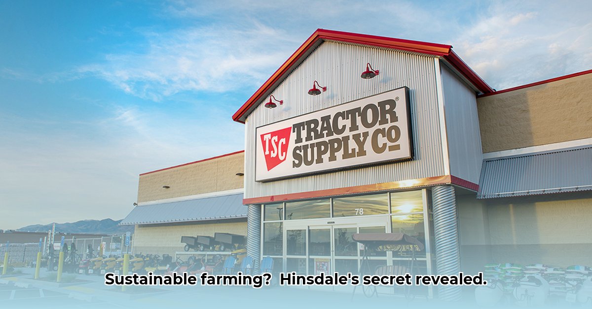 hinsdale-nh-tractor-supply